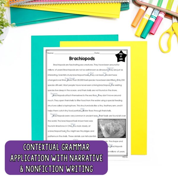 Complex Sentences - Grammar In Context Writing Lessons for 4th / 5th Grade - Image 2